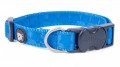 Brights Stars Dog Collar